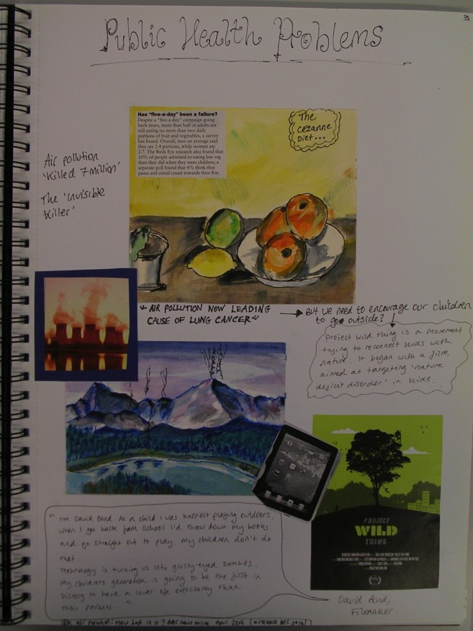 Alice Ryrie, Public Health Problems, 2014/15